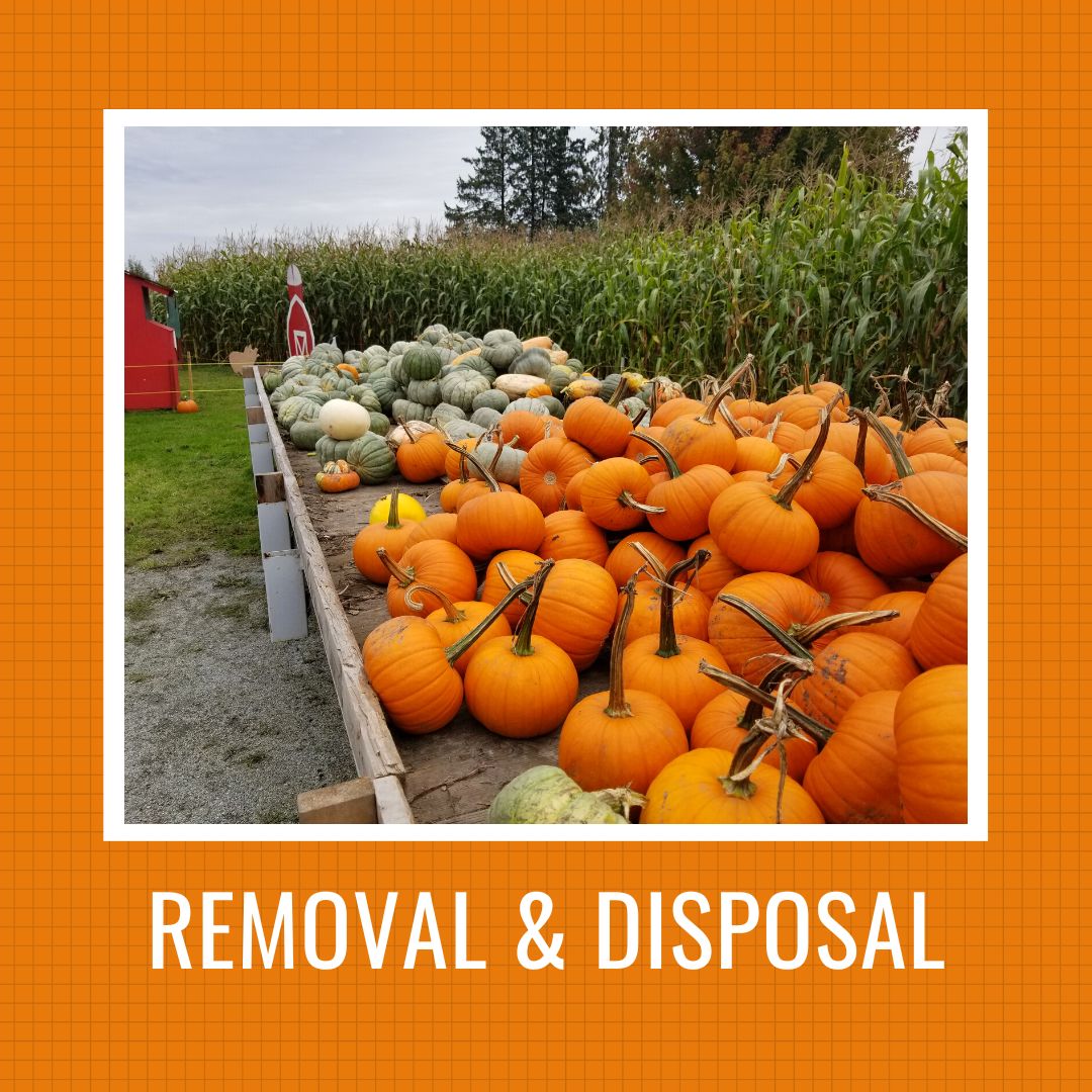Removal & Disposal