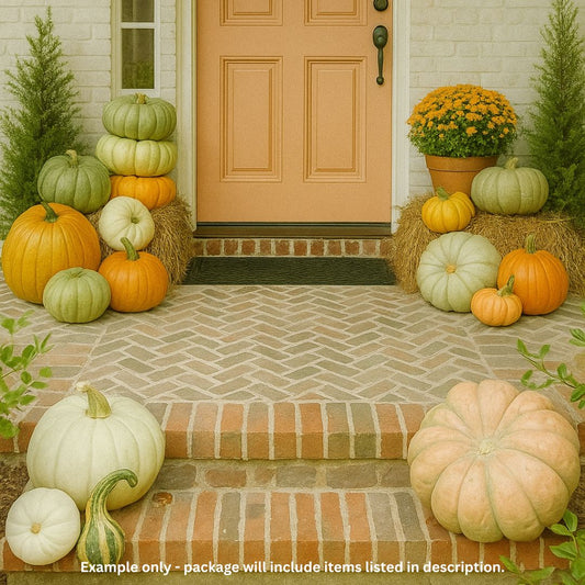 The Autumn Drop